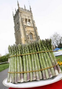 Evesham asparagus