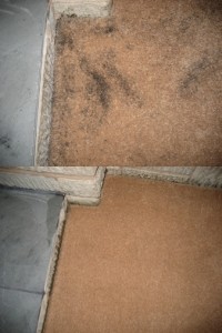 Carpet Cleaning Malvern