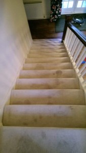 Evesham Carpet Cleaning